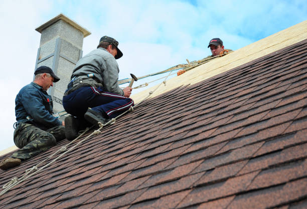 Gutter Installation and Roofing in Thatcher, UT